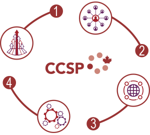 Infographie qui représente les stratégies et objectifs du C C S P