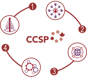 Stratégies du CCSP