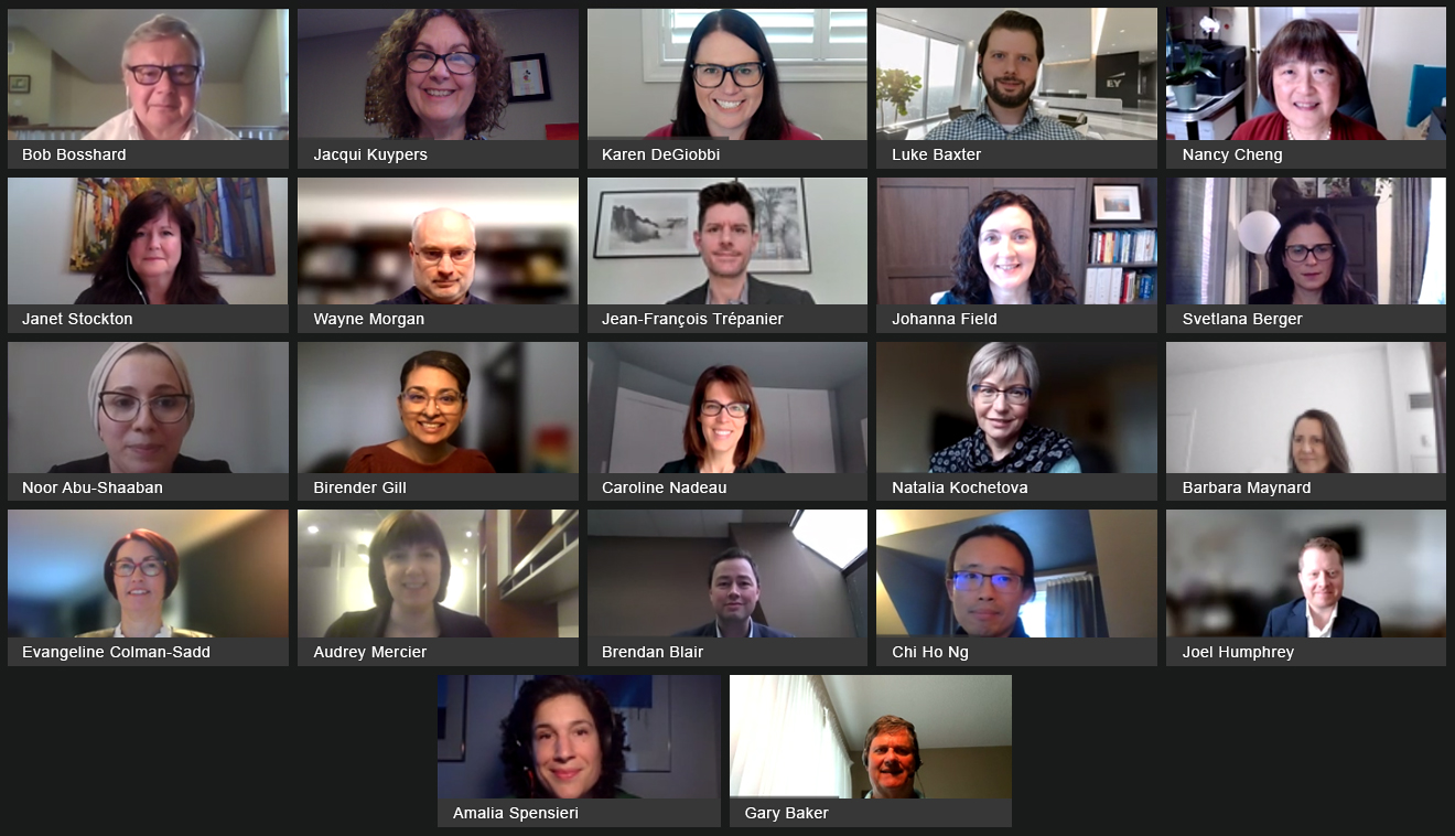 Capture d'écran de la réunion Zoom avec les membres et le personnel du CNAC.