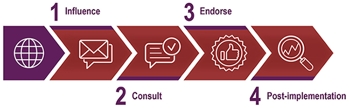The progression of IFRS standards due process.