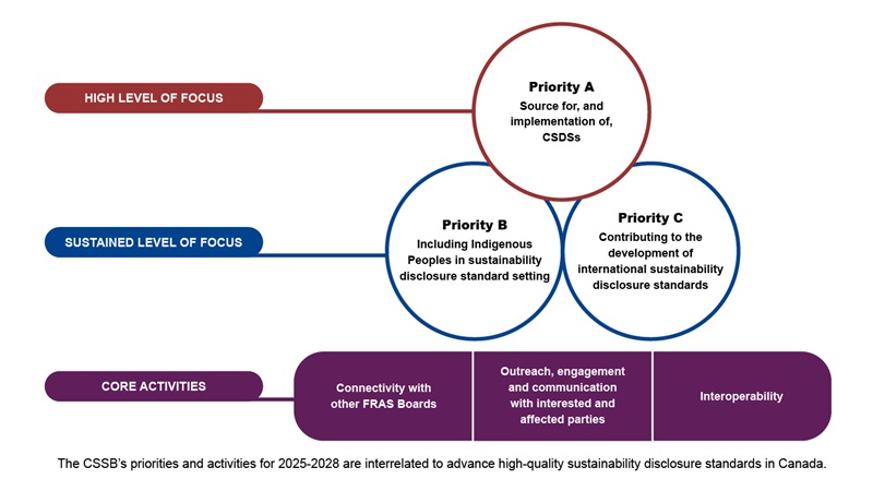 Flow Chart of Illustration of Strategic Priorities