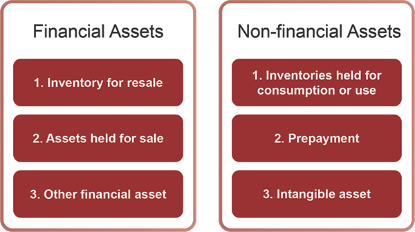 A table that categorizes financial assets and non-financial assets. While financial assets are divided into inventory for resale, assets held for sale, and other financial asset, non-financial assets are divided into inventories held for consumption or use, prepayment, and intangible asset.
